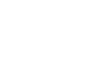 dash